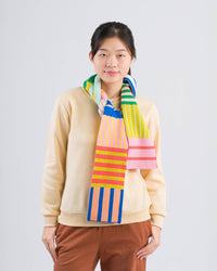 Patchwork Stripe Skinny Scarf | Rainbow